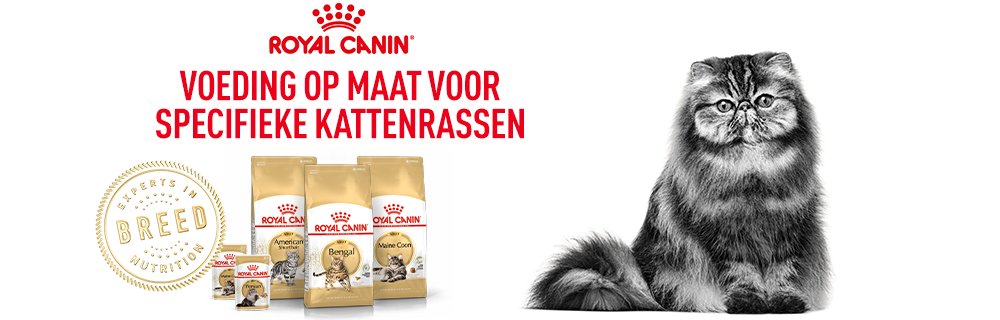 Royal Canin Feline Breed Nutrition Main banner 