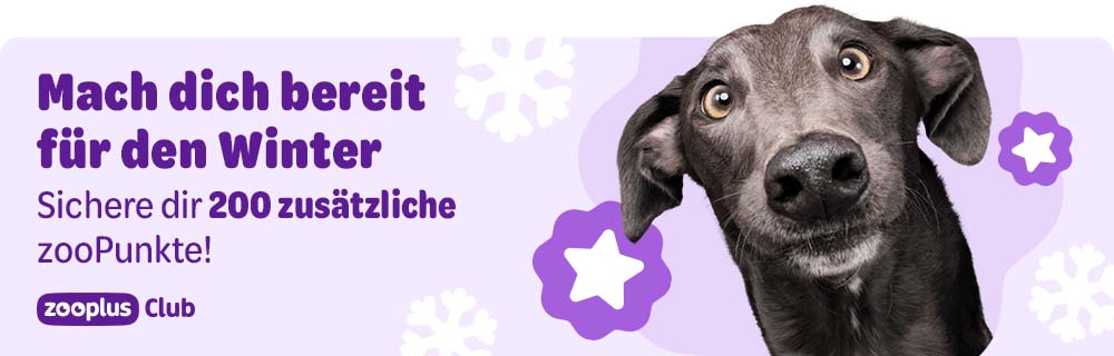 zooplus Club: Mach dich bereit für den Winter. Sichere dir 200 zusätzliche zooPunkte 