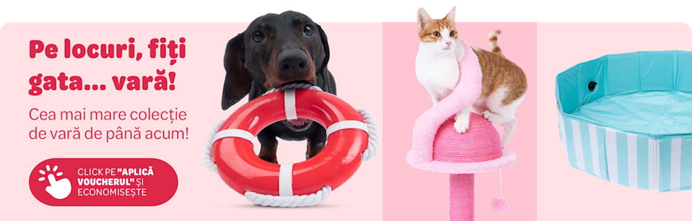 Promoție de vară: 20% reducere la accesorii pentru câini și pisici