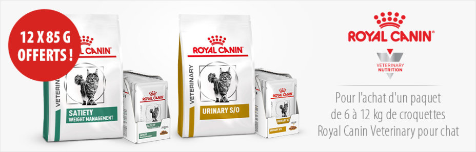 croquettes royal canin veterinary
