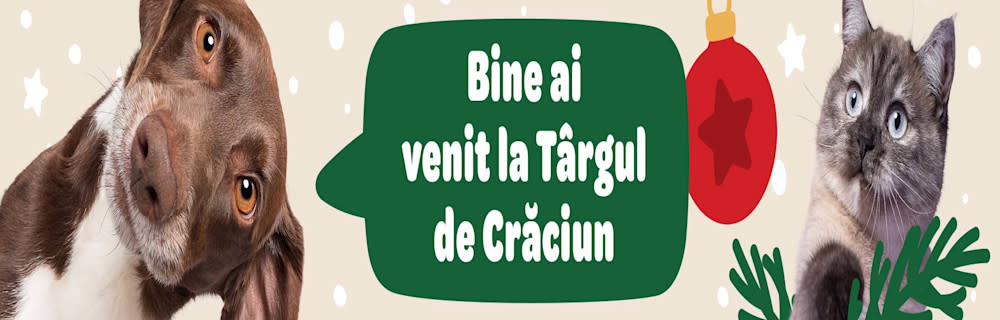 Bine ai venit la Târgul de Crăciun