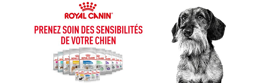 Royal Canin Canine Care Subpage - Middle Banner TOP Image