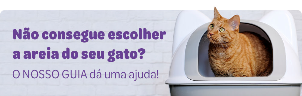 Descubra a areia que mais se adequa às necessidades do seu gato