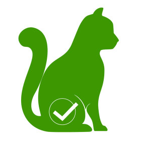 Lysine TVM - Complément Alimentaire pour Chats et Chatons - Zoo Santé