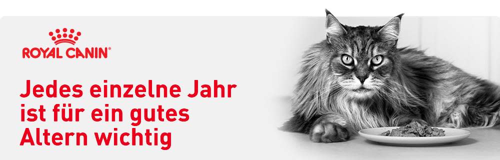 Jedes Jahr zählt für gesundes Altern