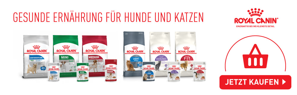 Royal Canin Vaccination: Bottom Banner