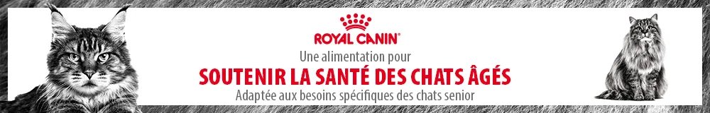 Nourriture pour chat Senior Royal Canin
