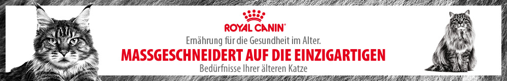Royal Canin Katzenfutter für Seniorkatzen