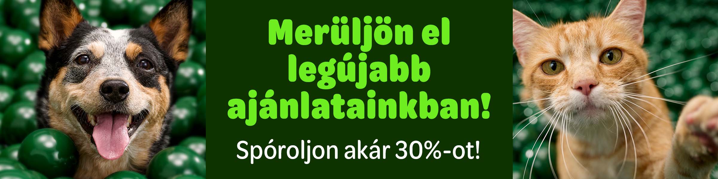 Merüljön el legújabb ajánlatainkban! Spóroljon akár 30%-ot!