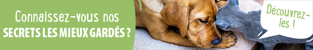 Découvrez les secrets les mieux gardés de zooplus !