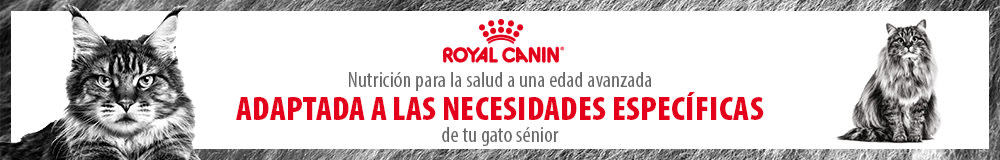 Pienso Royal Canin para gatos senior