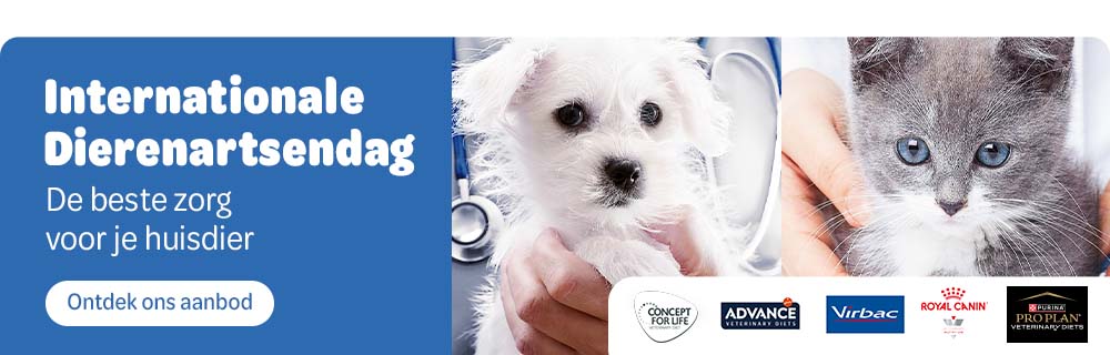 NL International Vet Day Middle Banner