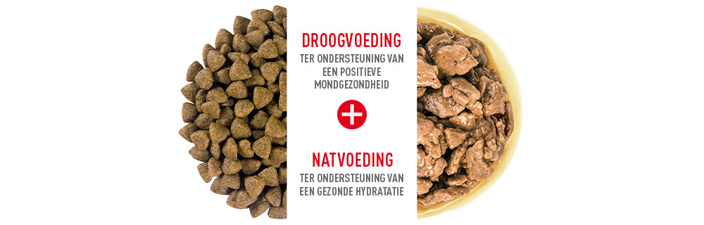 RC SHN Mixed Feeding