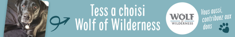 Vous aussi, contribuez aux dons avec Wolf of Wilderness