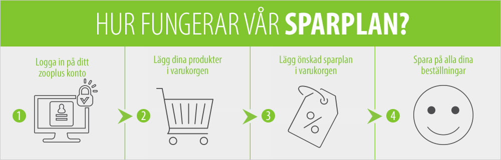 Såhär fungerar vår sparplan