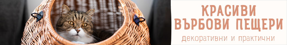 Любимите пещери на котките!