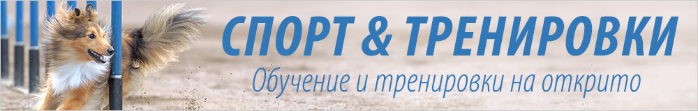 Спорт и тренировки за кучета!