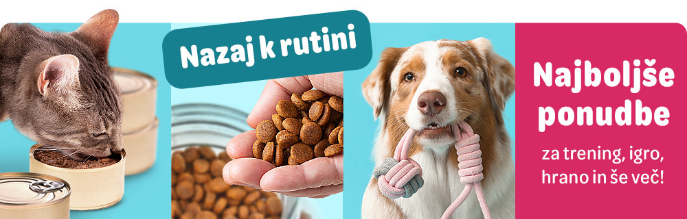  Nazaj k rutini. Najboljše ponudbe za trening, igro, hrano in še več!