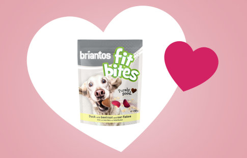 💕🐶Лакомство Briantos для Вашей собаки в подарок на День всех Влюблённых в zoochic