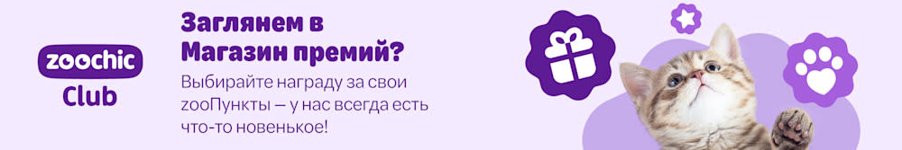 Заглянем в Магазин премий? Вибирайте награду за свои zooпункты! - у нас всегда есть что-то новенькое