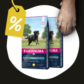 2 x 15 kg Eukanuba Ξηρά Τροφή με Έκπτωση 20%!