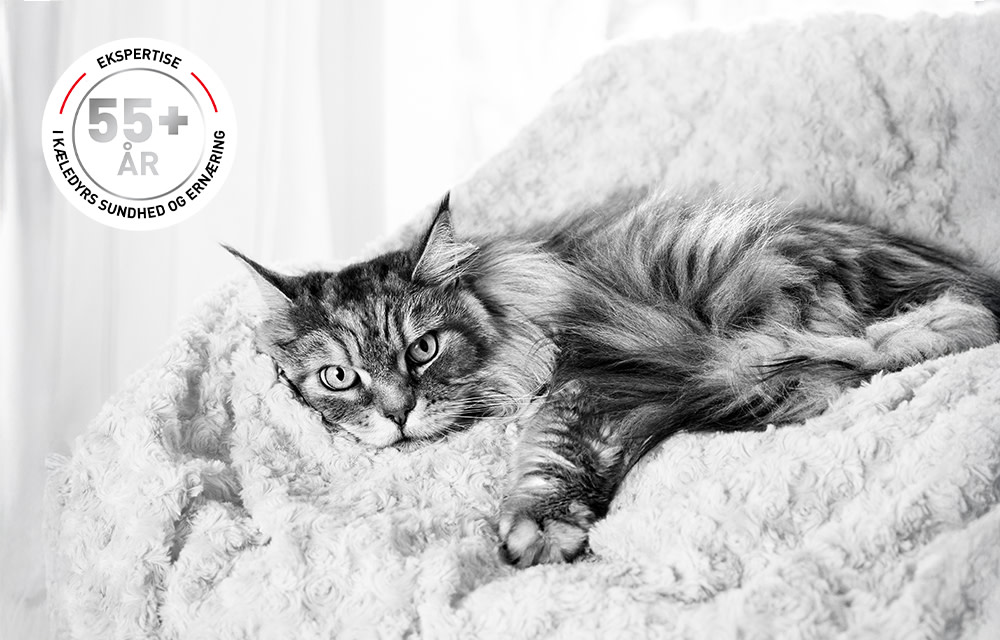 Over 55 års erfaring inden for dyresundhed og videnskab 