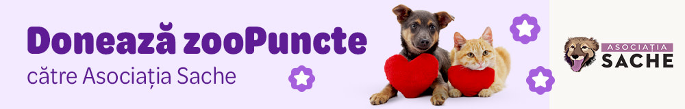 RO Asociatia Sache
