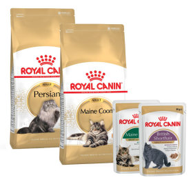 Royal Canin Breed Cat