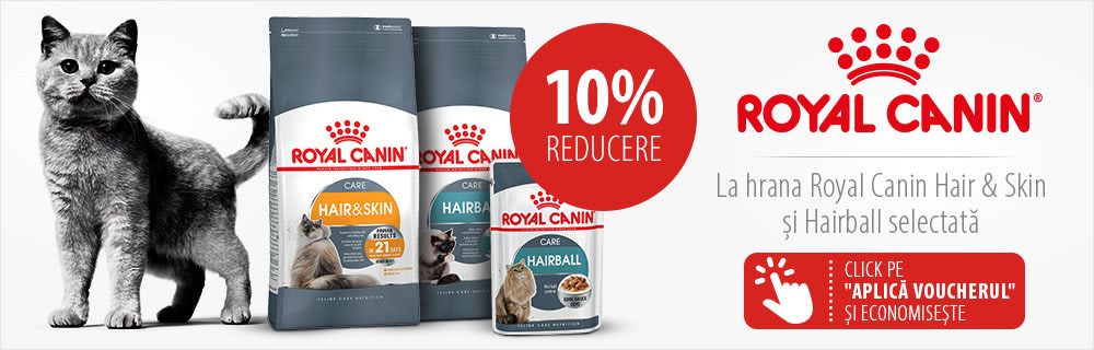 10% reducere la hrana pentru pisici Royal Canin Hair & Skin și Hairball selectată!
