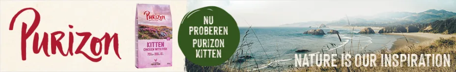 Purizon kittens