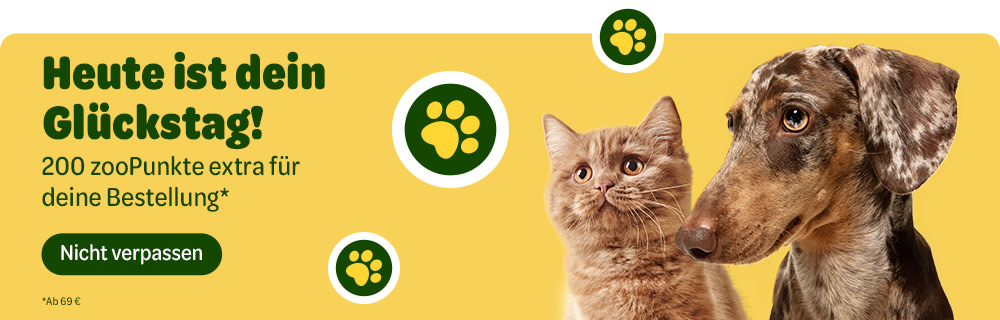Heute ist dein Glückstag! 200 zoopunkte extra für deine Bestellung.* Nicht verpassen. *Ab 69€