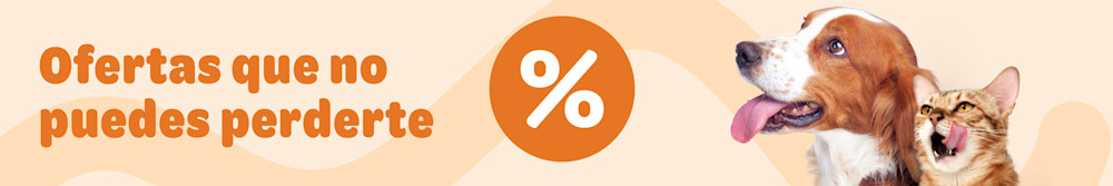 ¡Descubre las ofertas que no te puedes perder!