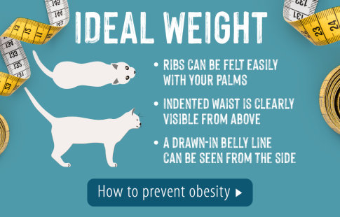 Ideal weight - a visual check