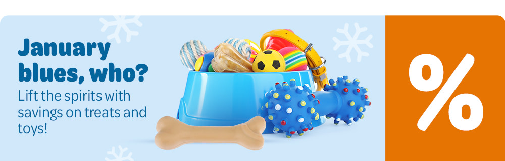 January Blues middle banner