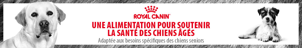 Nourriture pour chien senior