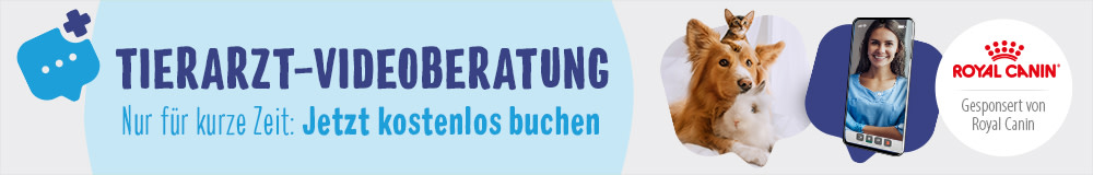 Tierarzt-Videoberatung - jetzt buchen!