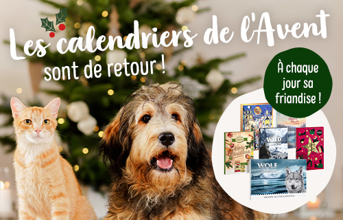 Animalerie En Ligne Zooplus Be Aliments Et Accessoires Pour Animaux