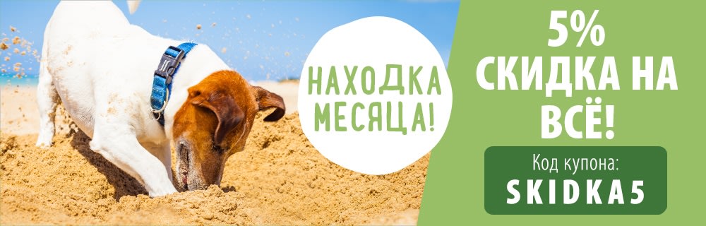 5% скидка на все!