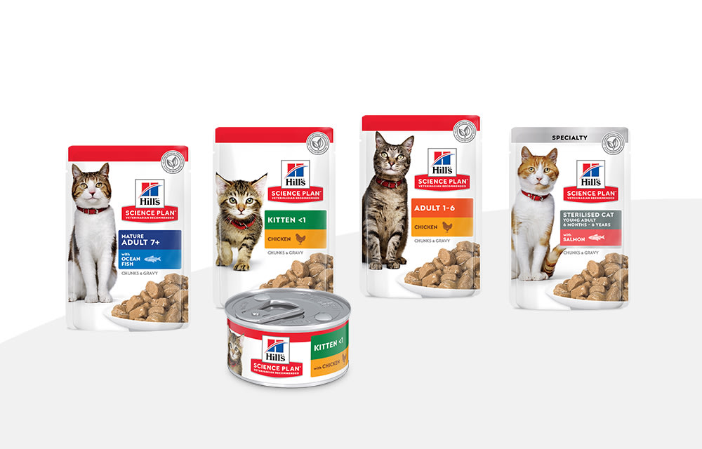 Science diet deals kitten food coupons