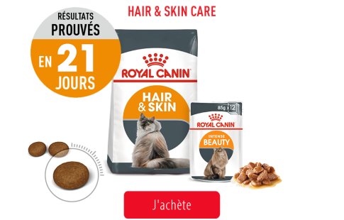 Royal Canin Feline Care Subpage - Grid Hair & Skin Care Image