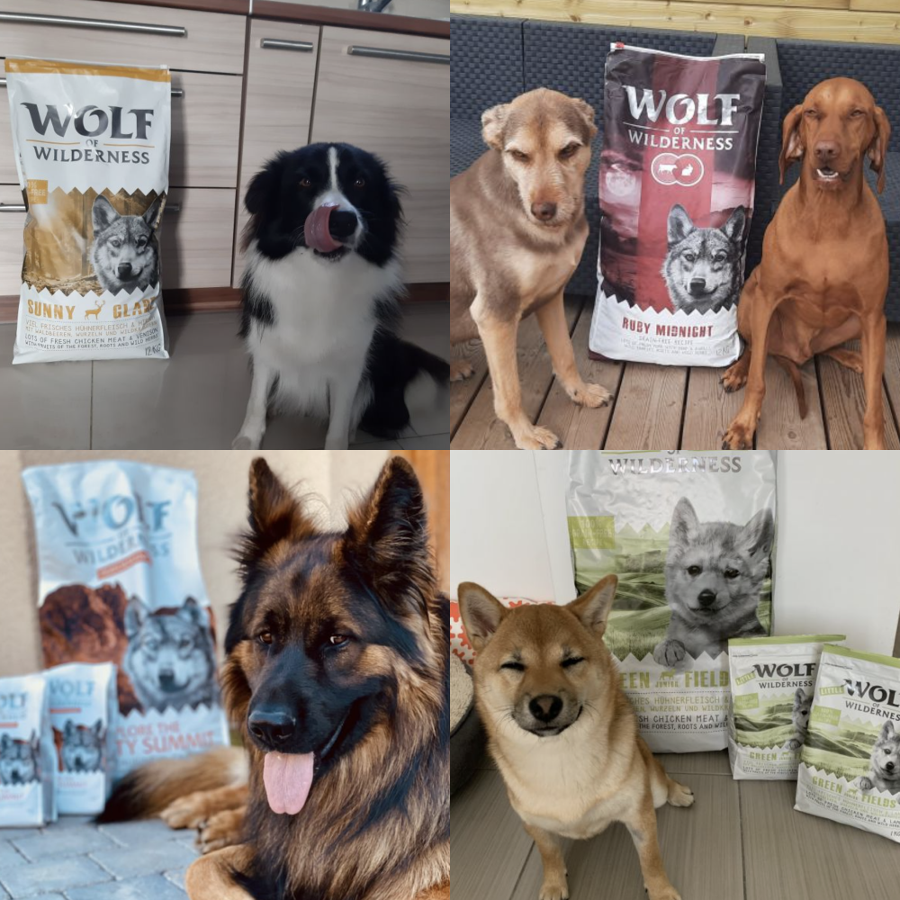 Wolf of Wilderness Grain-Free Dog Food | zooplus