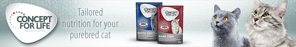 Discover Concept for Life