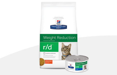 hill's prescription diet metabolic para gatos