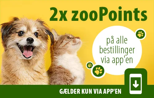 2x zoopoints