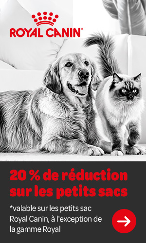 20% de réduction sur les petits sacs