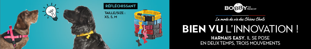 Colliers, harnais et laisses Bobby