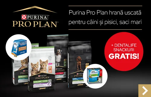 Pro Plan hrană uscată, sac mare + Dentalife snackuri gratis!