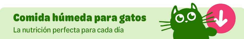 Comida húmeda para gatos