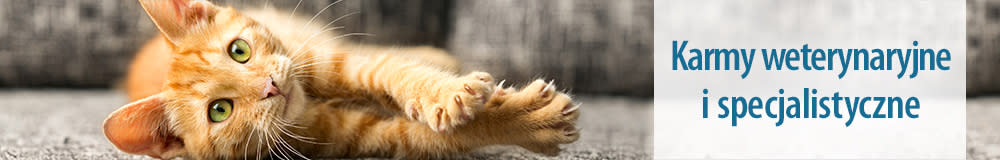 Karmy weterynaryjne i specjalistyczne dla kota
