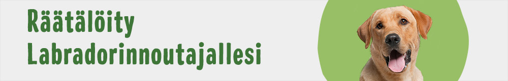 Dog Breed LabradorRetriever 1000x160 FI